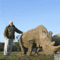 Sir David Attenborough Africa GIF by BBC America