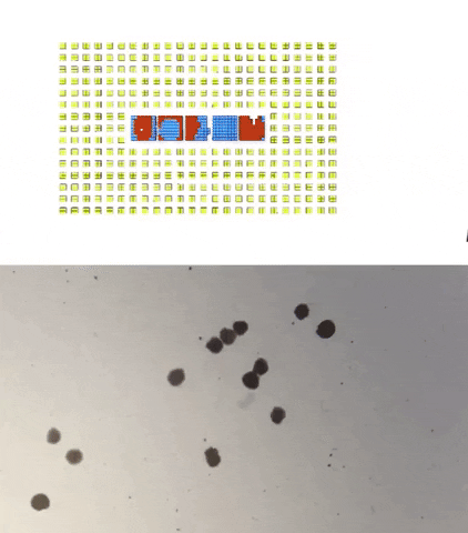 Science GIF
