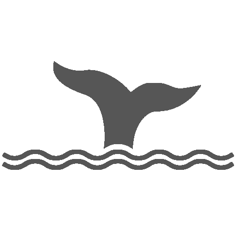 Water Usa Sticker by CANUSA