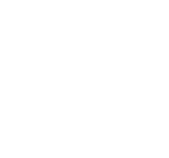 Little Poppy Co. Sticker