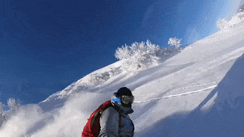 Projets ski mountains snowboard powder GIF