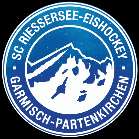 Logo Hockey GIF by SCRIESSERSEE