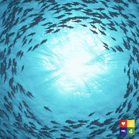 Climatechange GIF