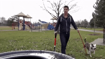 Pooperscooper GIF