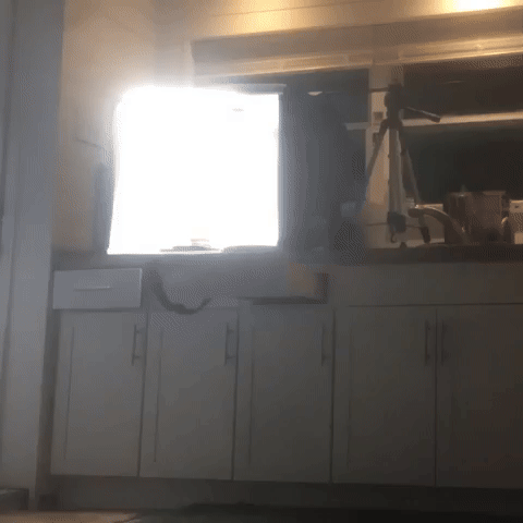 Stop Motion Art GIF