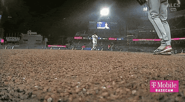 Tampa Bay Rays Baseball GIF by Jomboy Media