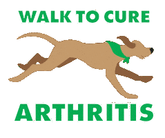 Dog Running Sticker by Arthritis Foundation