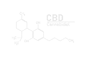 Cbd Cannabidiol Sticker by Dutchnaturalhealing
