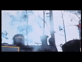 Shahrukh Khan GIF