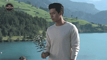 Hyun Bin Netflix GIF by The Swoon