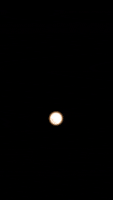200.gif?cid=fc005b08d69656a88465a1c70b1fe15871a5c2438afd86e1&rid=200.gif&ct=g
