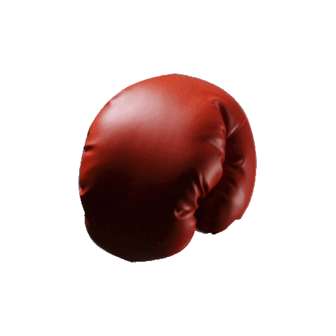 Boxedeverdade Sticker by Crossboxing