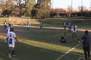 Ocsc GIF by Oldcamberwellsc