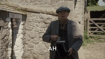 Acgas GIF by All Creatures Great And Small