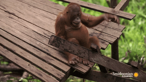 Over It I Give Up Gif By Moodman Find Share On Giphy