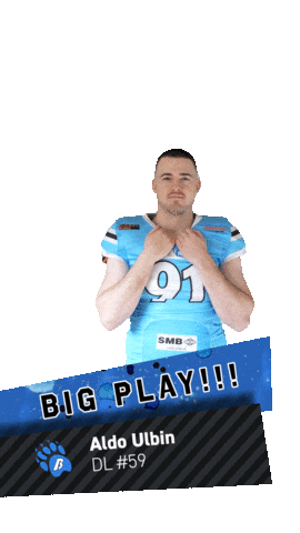 Sticker by Styrian Bears