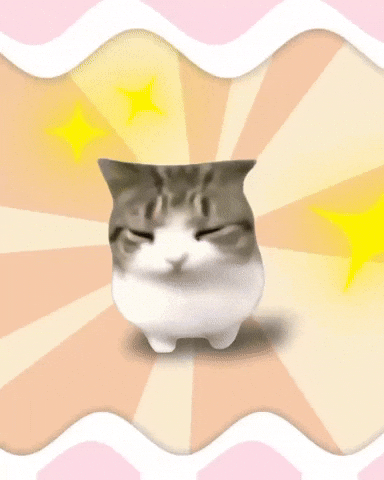 Cat Dance GIF