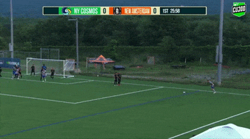 New York Cosmos GIF