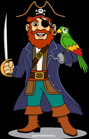 gartenpirat pirate parrot pirat papagei GIF