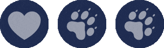 VirtusPet Sticker