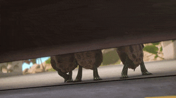 200.gif?cid=fc005b089a5ef49bcbe9d4567384366c8ed09fba36d142b0&rid=200.gif&ct=g