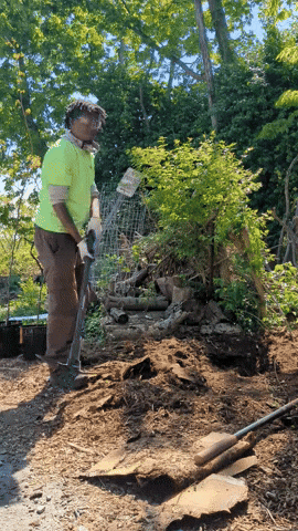 GIF by Groundwork USA