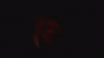 Viva La Vida GIF by Coldplay