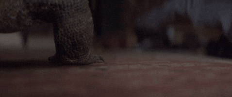 Foot GIF