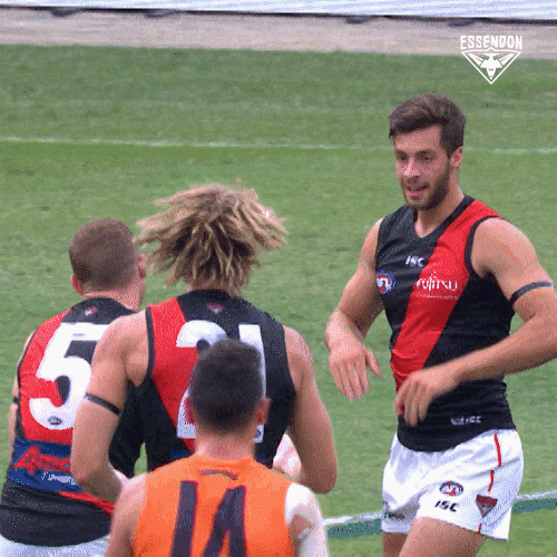 High Five Aussie Rules GIF by Essendon FC