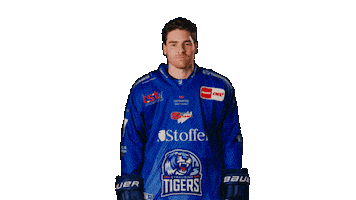 Melnick Sticker by Straubing Tigers