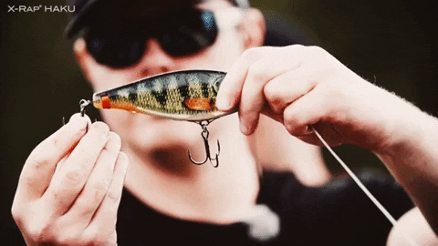 Rapala Xraphaku Fishing Lure GIFs - Get the best GIF on GIPHY