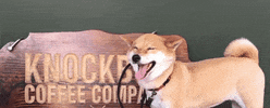 Knockboxcoffee GIF
