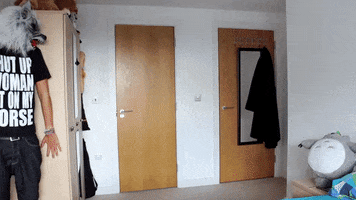 arcticphoenix12 danisnotonfire amazingphil GIF