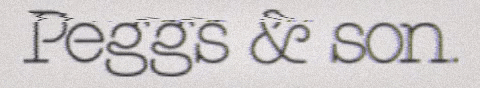 peggsandson GIF
