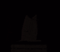 Jew Rabbi GIF
