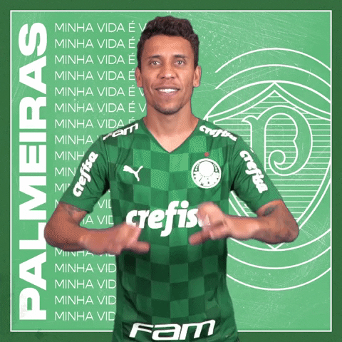 Marcos Rocha Soccer GIF by SE Palmeiras
