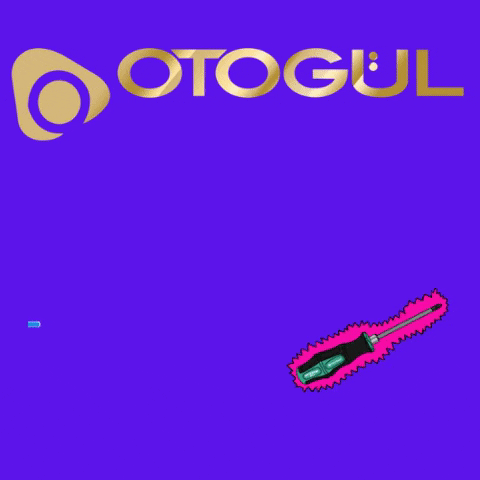 Otogul Car Service - Repair  & Bosch Service GIF