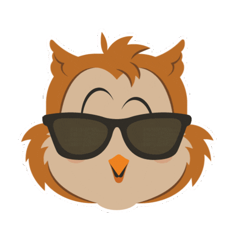 Brasilia Sticker by IFB