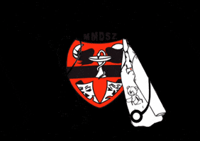 MMDSZ GIF