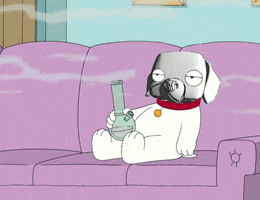 Family Guy GIF