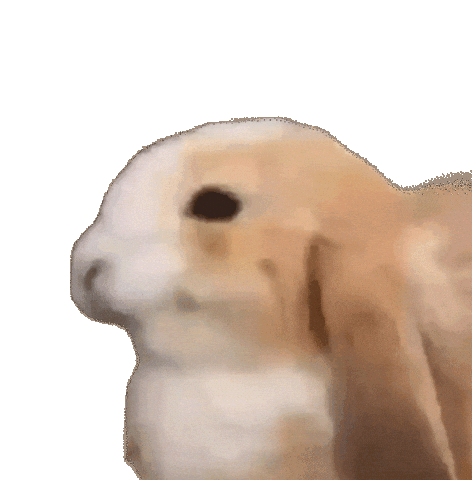 Bunny Cutebunny Sticker