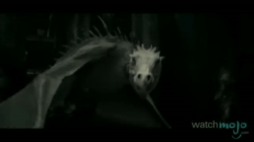 mosasaur  GIF
