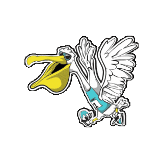 St Pete Run Fest Sticker