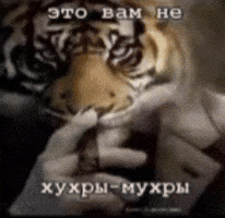 Serious Business GIF