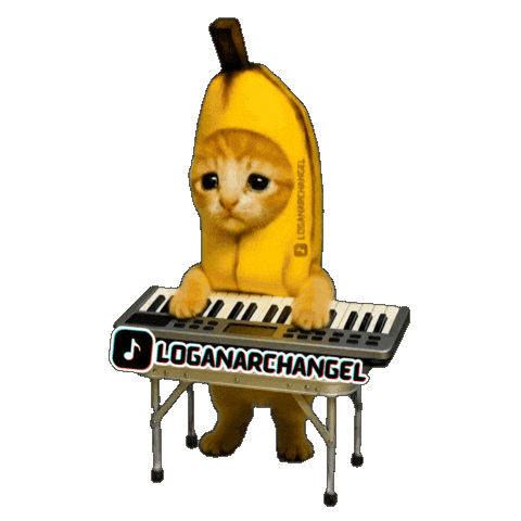 Cat Piano Sticker