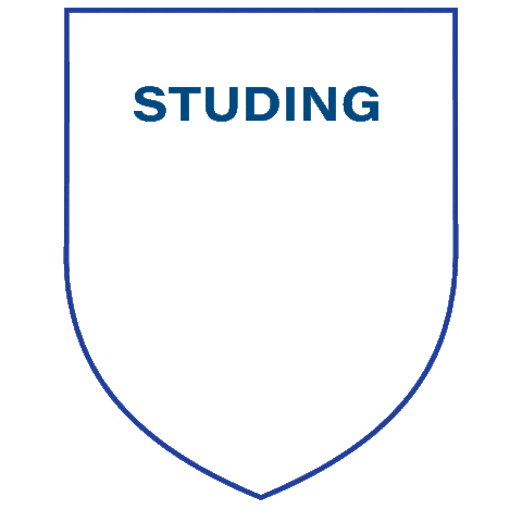 IST COLLEGE Sticker