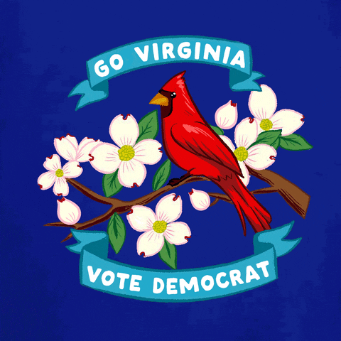 Vote Early Election Day GIF by Creative Courage