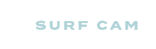 Surfing Record Sticker by Rakmajeh