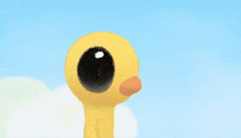 갈매기 GIF