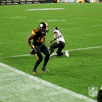 Happy Pittsburgh Steelers GIF by NFL